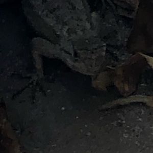 Meet your Posher, Richard